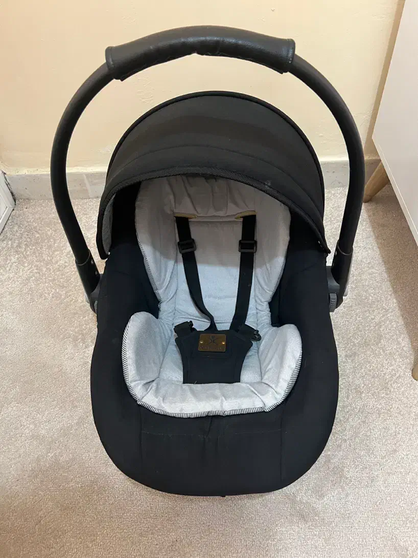 کریر|کالسکه و لوازم جانبی|بندر انزلی, ساحل قو|دیوار