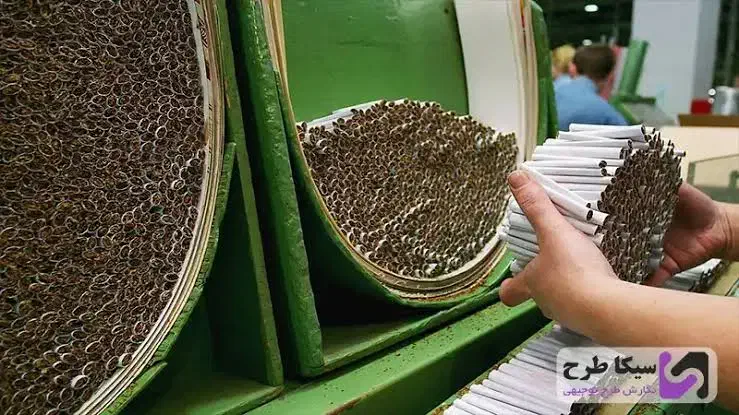 استخدام نیروی تازه وارد در شرکت سیگار|استخدام صنعتی، فنی، مهندسی|تربت‌حیدریه, کاشانی|دیوار