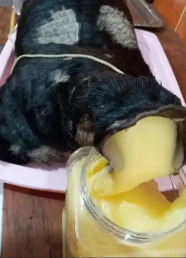 روغن محلی گاو خالص خوش عطر وطعم|خوردنی و آشامیدنی|شیراز, شهرک ایثار|دیوار