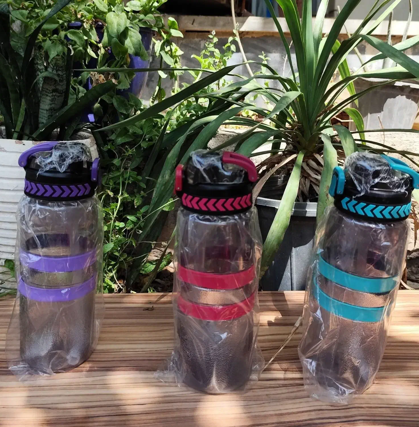 انواع قمقمه و شیکر|ظروف نگهدارنده، پلاستیکی، یکبارمصرف|خاوران, |دیوار