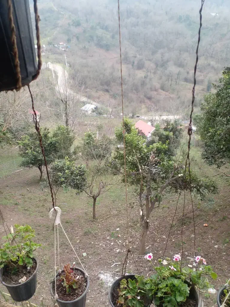 کلبه 40 متری لاهیجان زمین 1100 متری زیر قیمت|فروش زمین و ملک کلنگی|لاهیجان, آهندان|دیوار