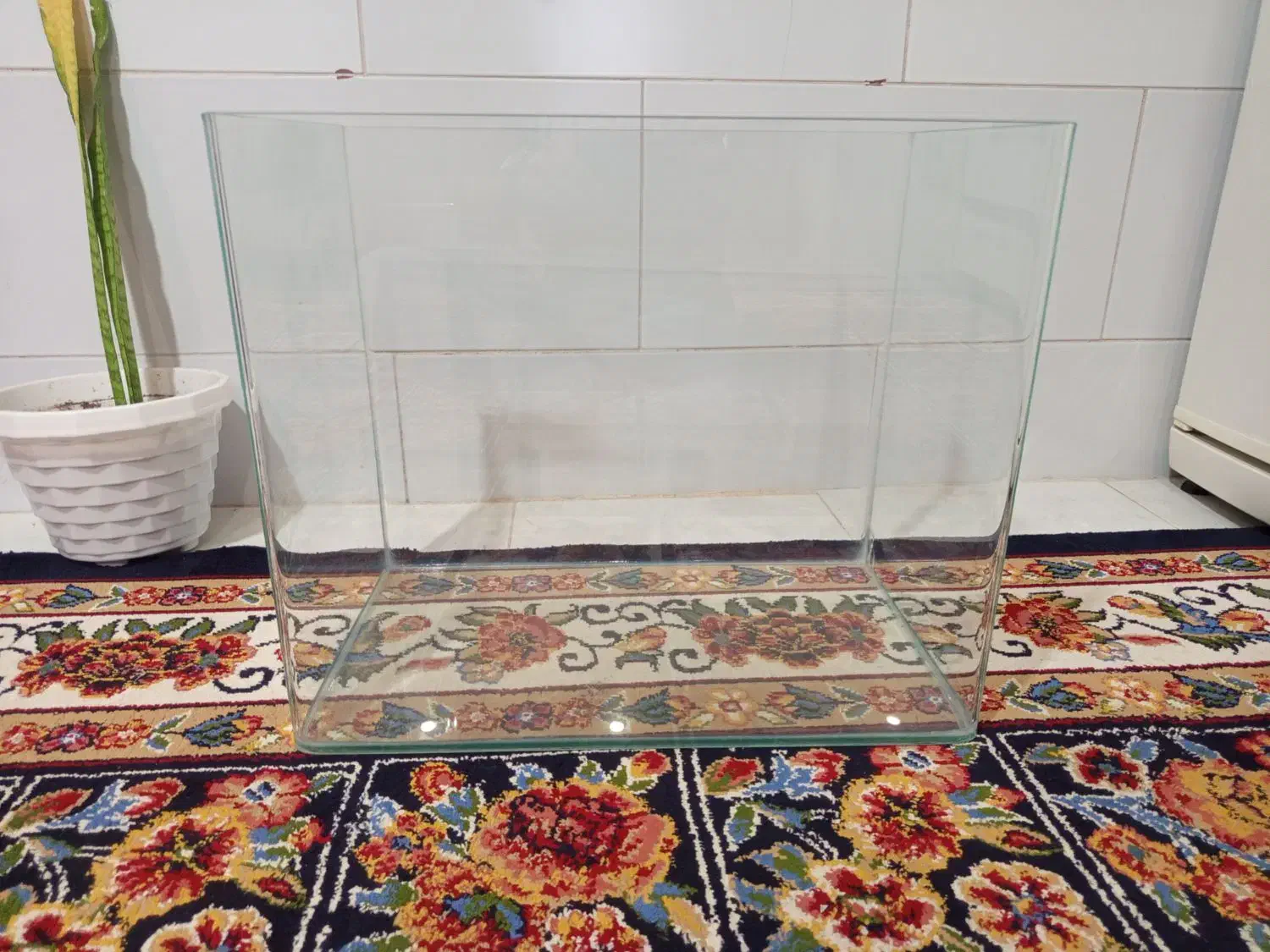 آکواریوم ماهی|ماهی|اقبالیه, |دیوار