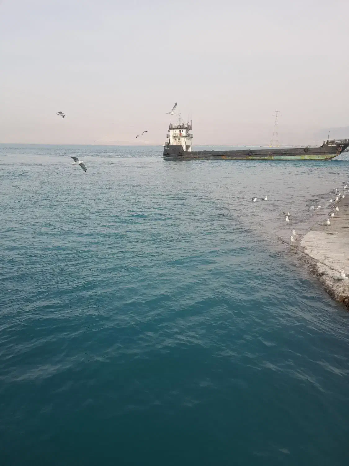 تور جزیره قشم|تور و چارتر|قشم, |دیوار