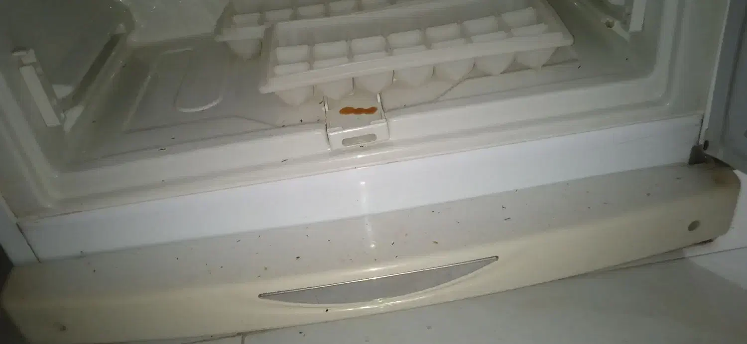 یخچال|یخچال و فریزر|مشهد, هنرور|دیوار