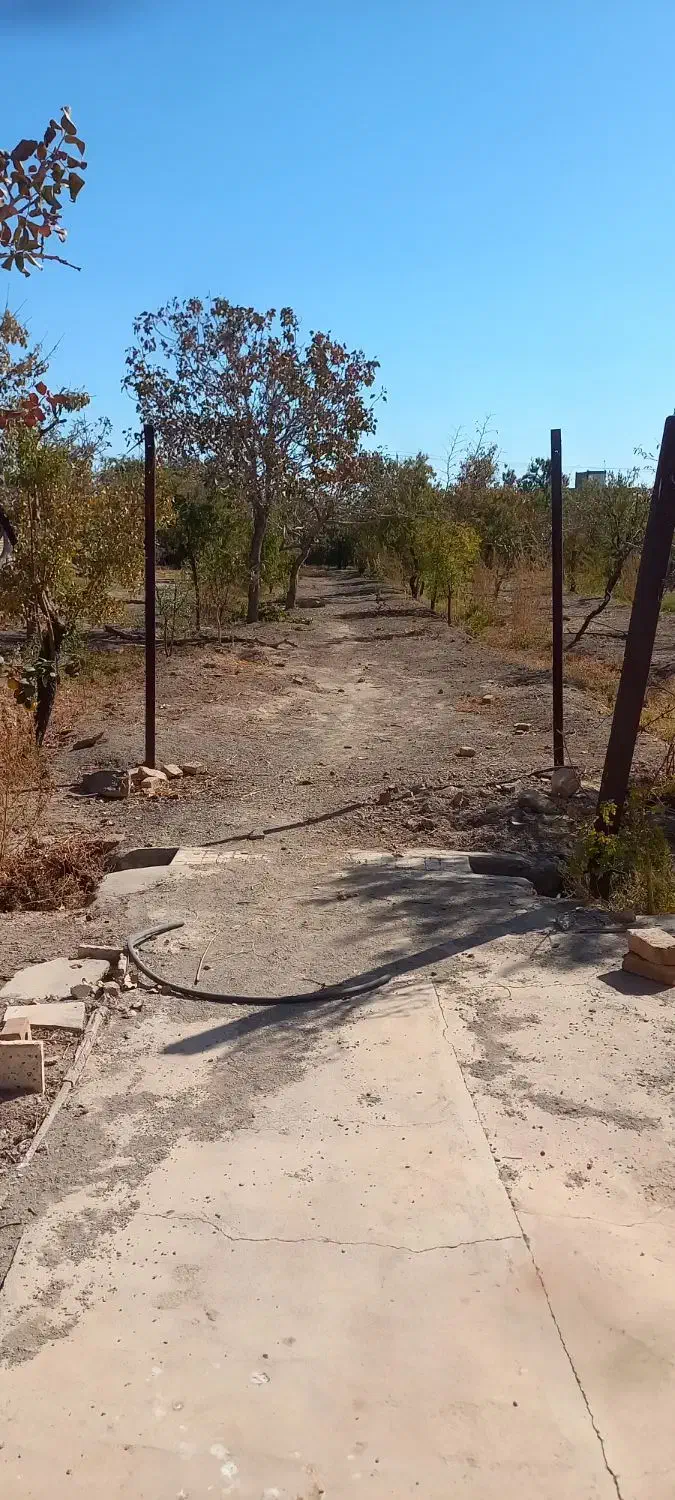 فروش یک قطعه باغ در اسلامیه|فروش خانه و ویلا|اسلامیه, |دیوار