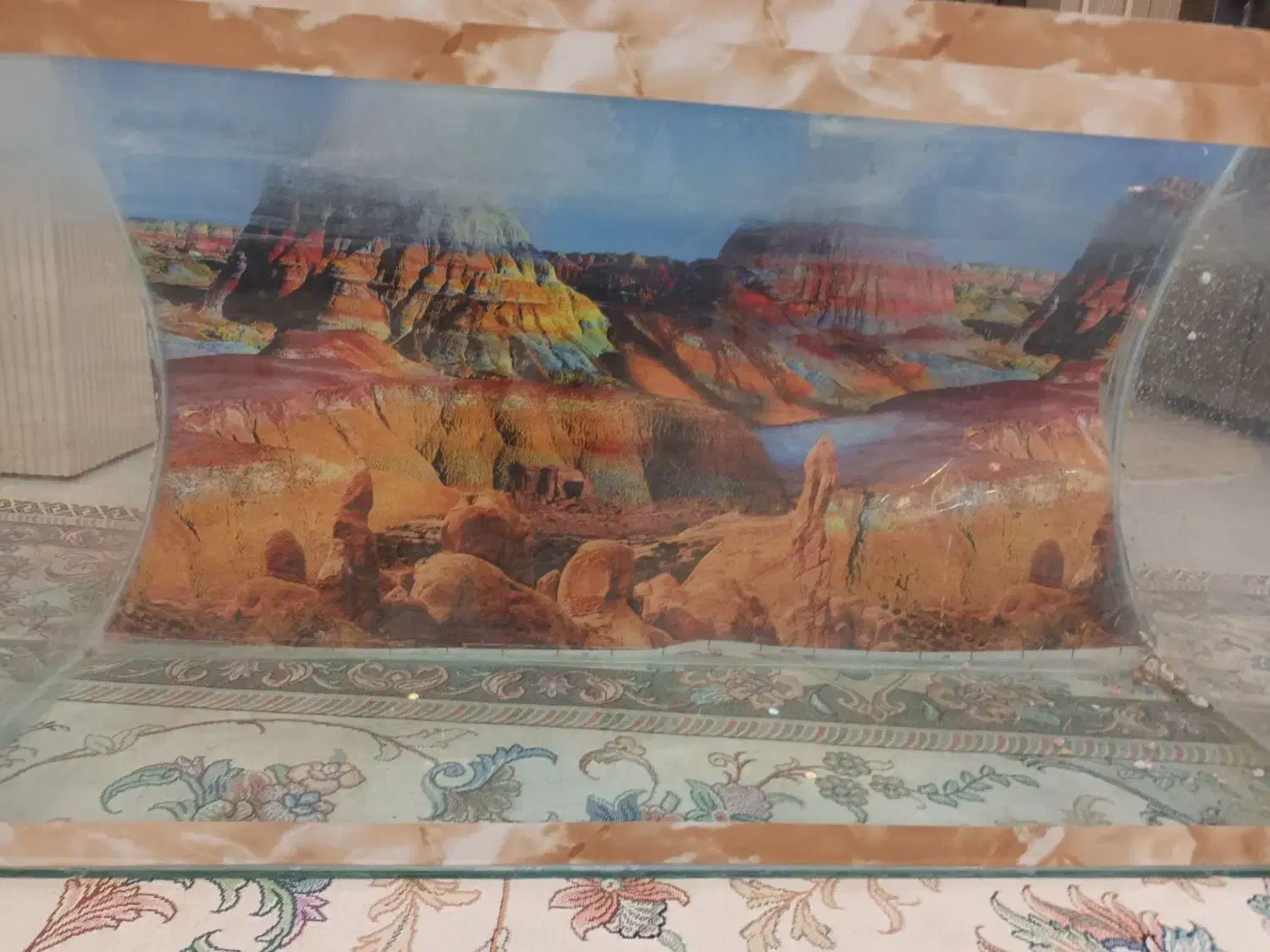 آکواریوم 1متری|ماهی|تربت‌حیدریه, بهشت عسکری|دیوار