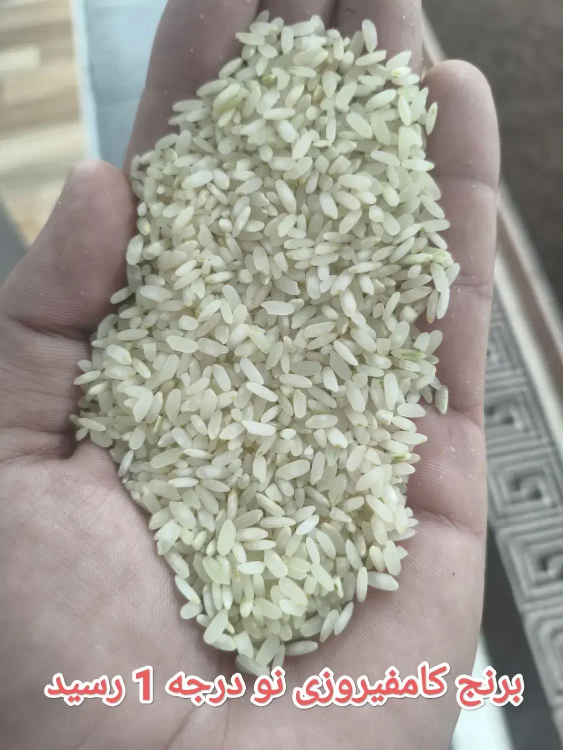 برنج کامفیروزی|خوردنی و آشامیدنی|شیراز, ده پیاله|دیوار