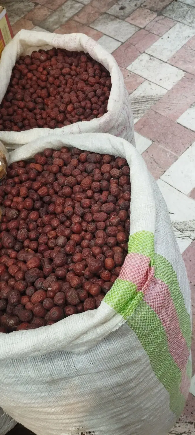 عناب|خوردنی و آشامیدنی|مشهد, شیرودی|دیوار