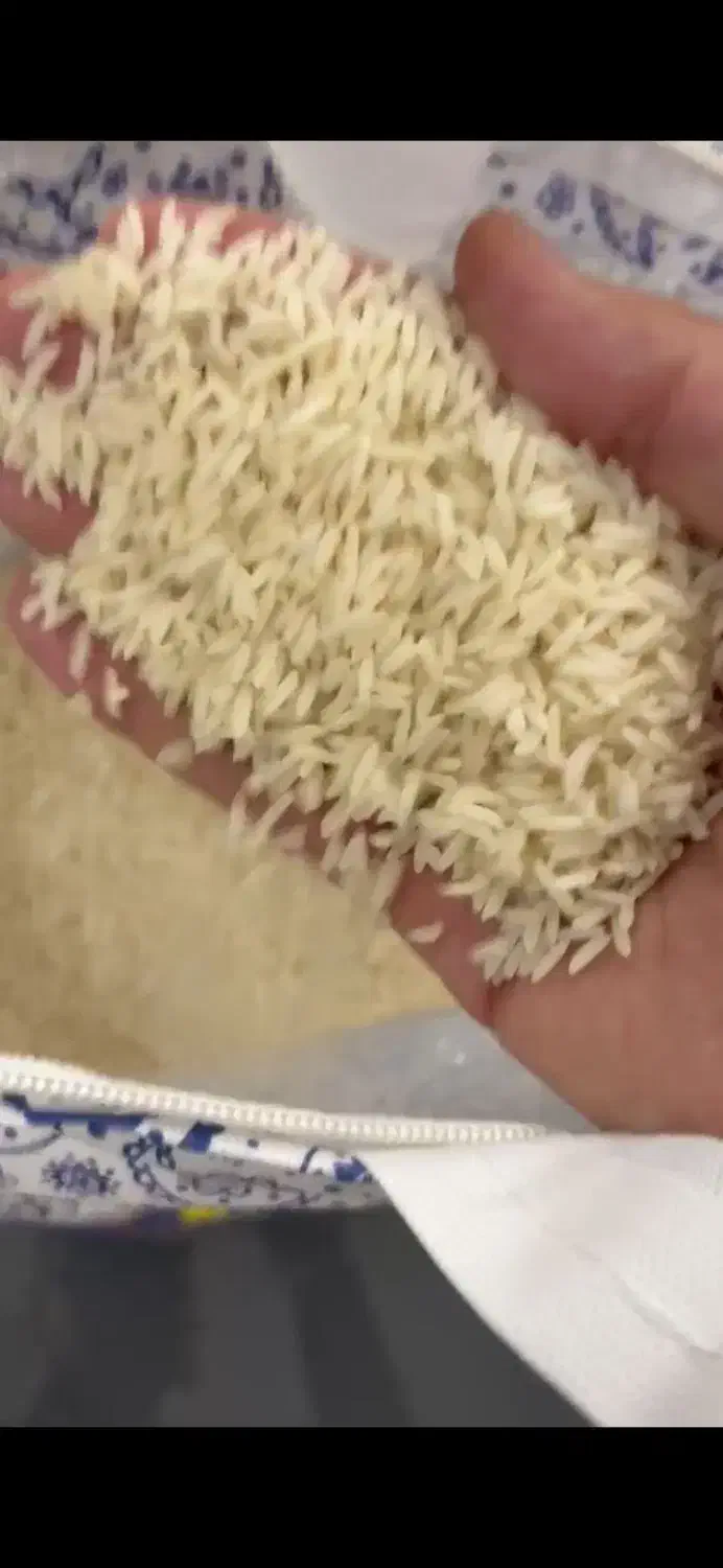 برنج ایرانی/ طارم/ فجر/کامفیروزی/عنبربو|خوردنی و آشامیدنی|اصفهان, جوزدان الیادران|دیوار