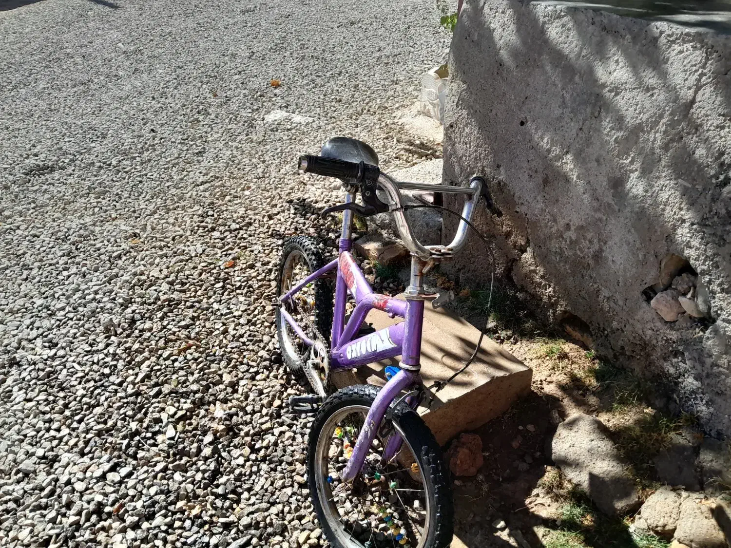 دوچرخه ۲۰|دوچرخه، اسکیت، اسکوتر|سردرود, |دیوار