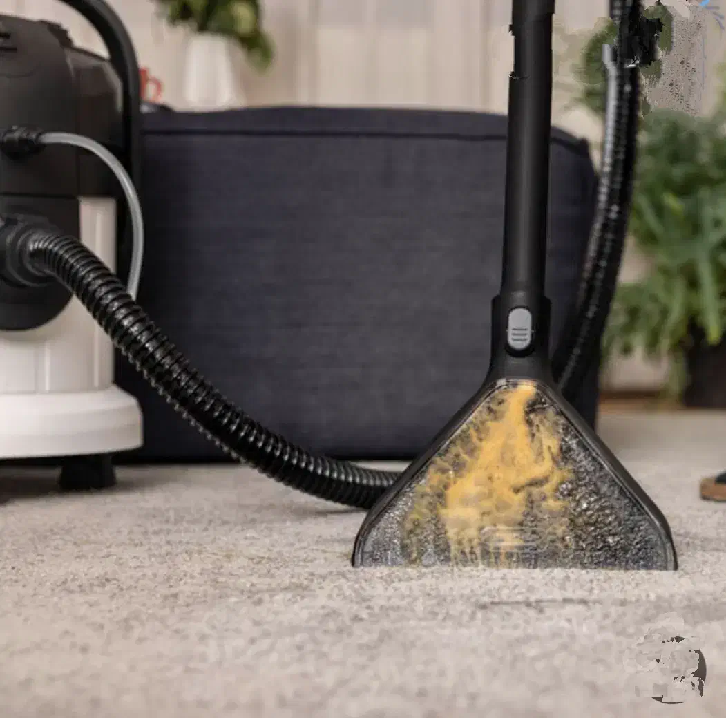 خدمات مبل شویی ماندگار|خدمات نظافت|قیدار, |دیوار