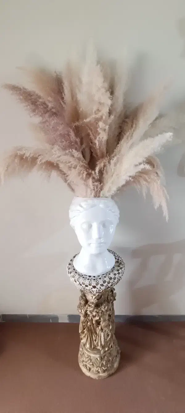 گل پامپاس|گل مصنوعی|همدان, |دیوار