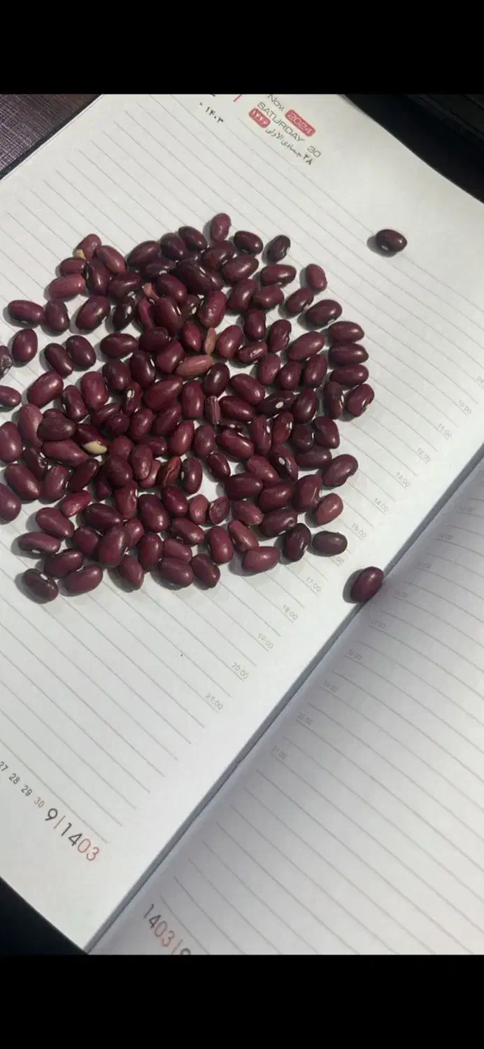 لوبیا قرمز|خوردنی و آشامیدنی|تهران, شهران جنوبی|دیوار