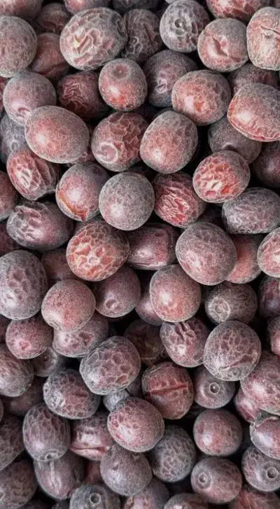 خریدعناب خشک|فعالیت داوطلبانه|بیرجند, |دیوار