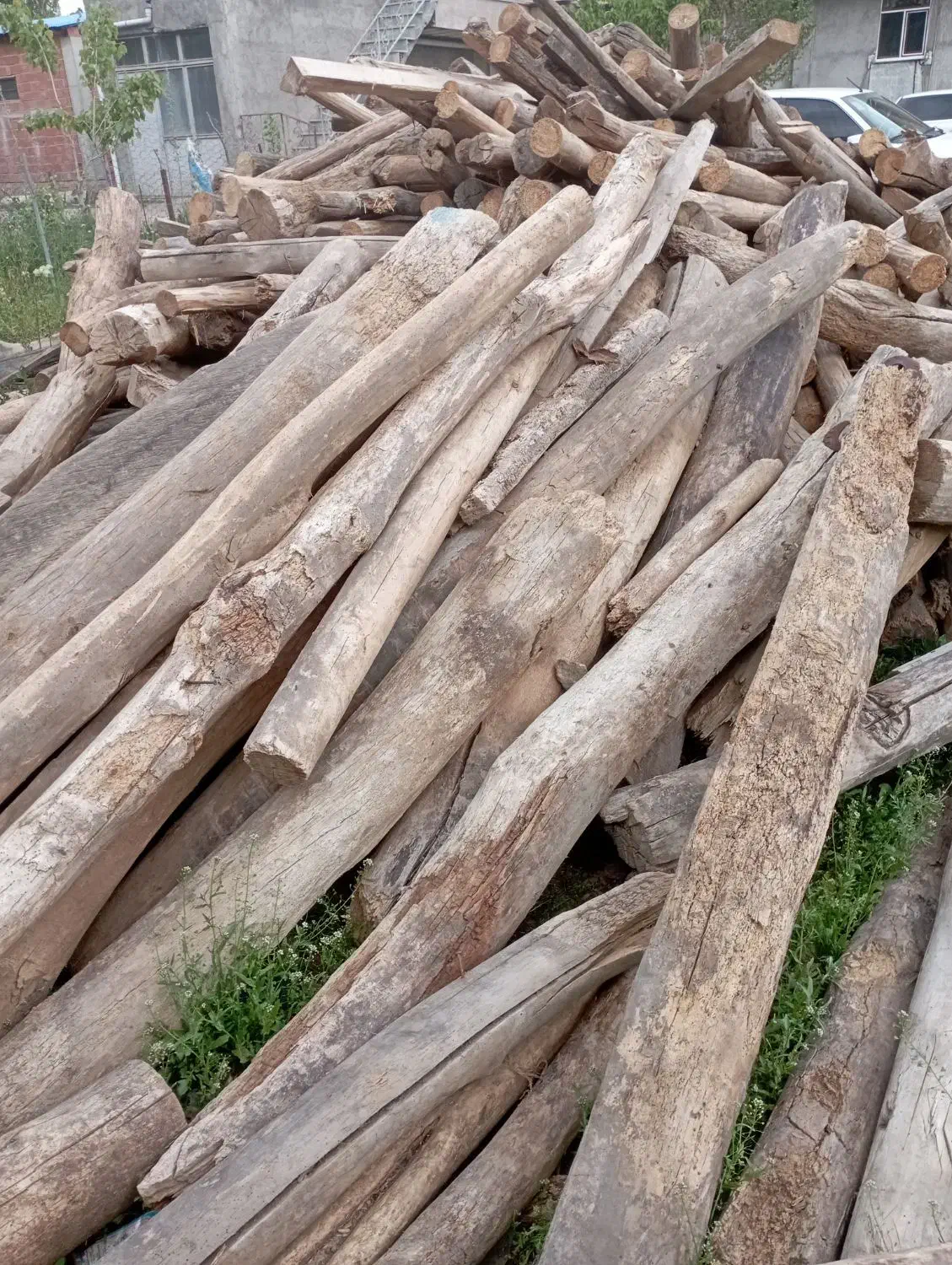 خرید چوب آلات کهنه|خدمات باغبانی و درختکاری|کوثر, |دیوار