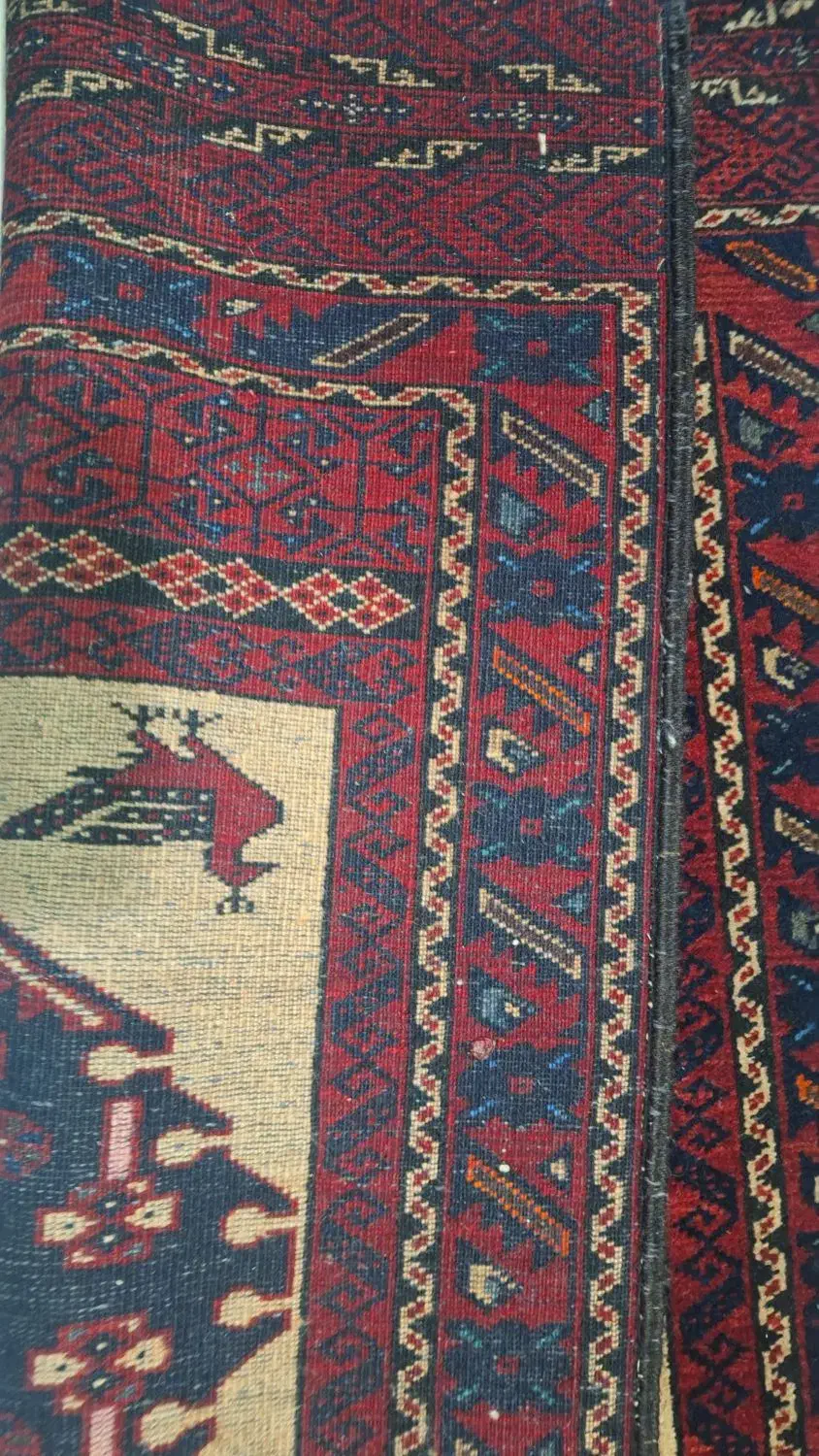 مرغی اعلا|فرش|تهران, پامنار|دیوار