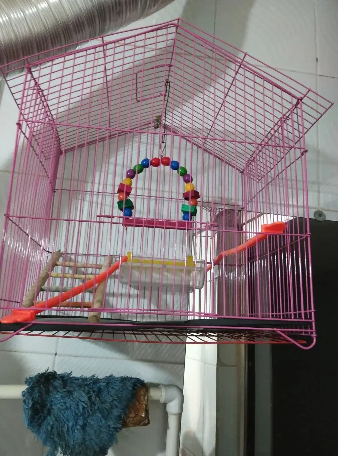 قفس عروس هلندی|لوازم جانبی حیوانات|تربتحیدریه, حیدرآباد|دیوار