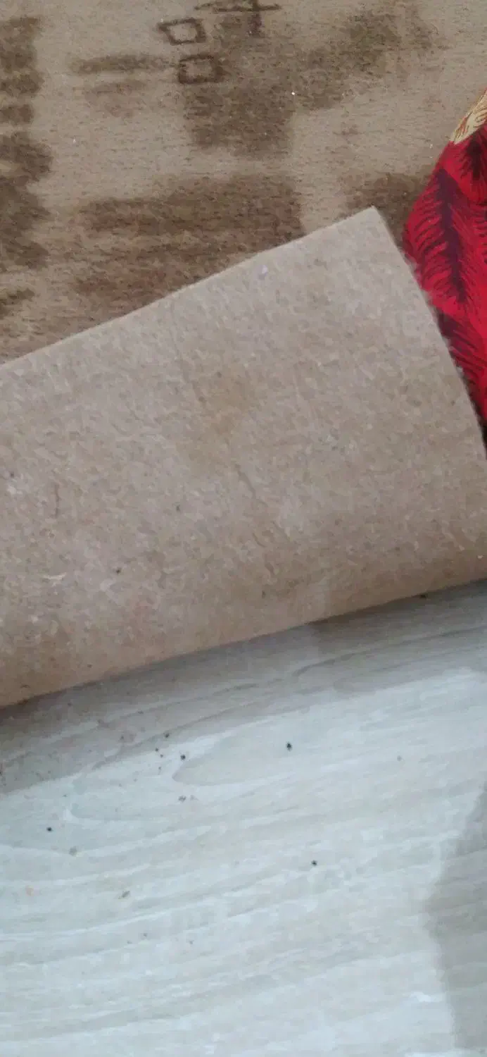 موکت|موکت|تربت جام, معدآباد|دیوار