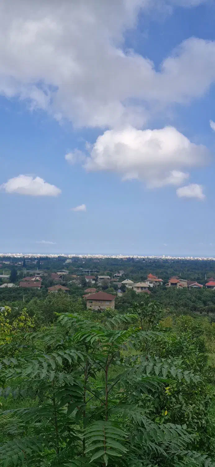 زمین ۱۶۰۰ متری|فروش زمین و ملک کلنگی|خرم‌آباد (تنکابن), |دیوار