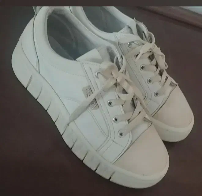 کفش نو|کیف، کفش، کمربند|نیشابور, شهرک اندیشه|دیوار