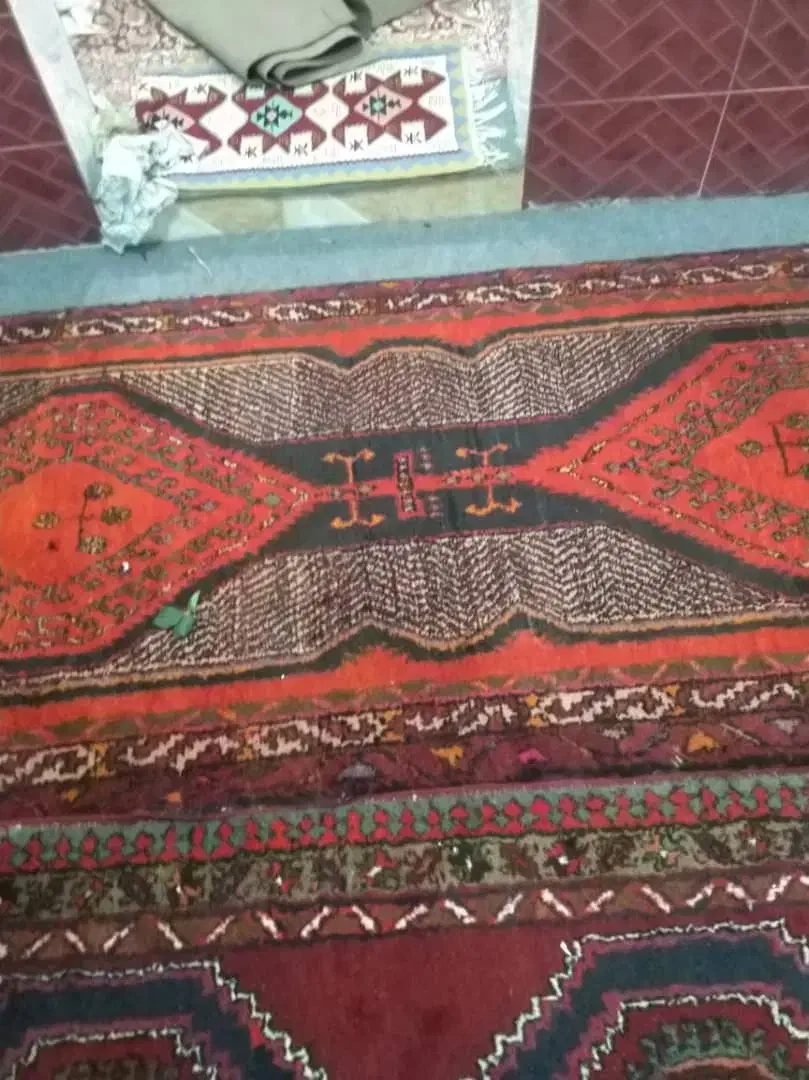 فرش دستباف|فرش|بهارستان, |دیوار