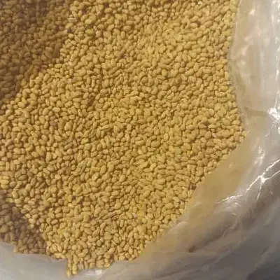 بذر یونجه|خدمات باغبانی و درختکاری|شیراز, احمدی جنوبی|دیوار