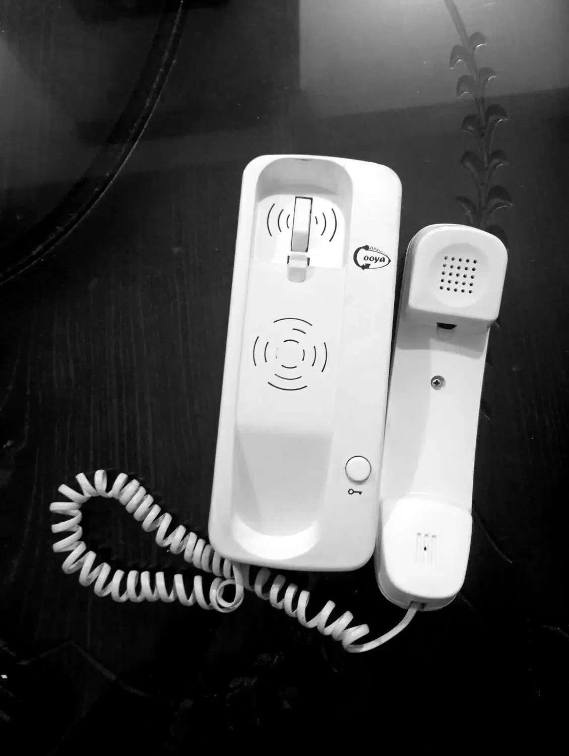 ایفون ساده|مصالح و تجهیزات ساختمان|زنجان, |دیوار