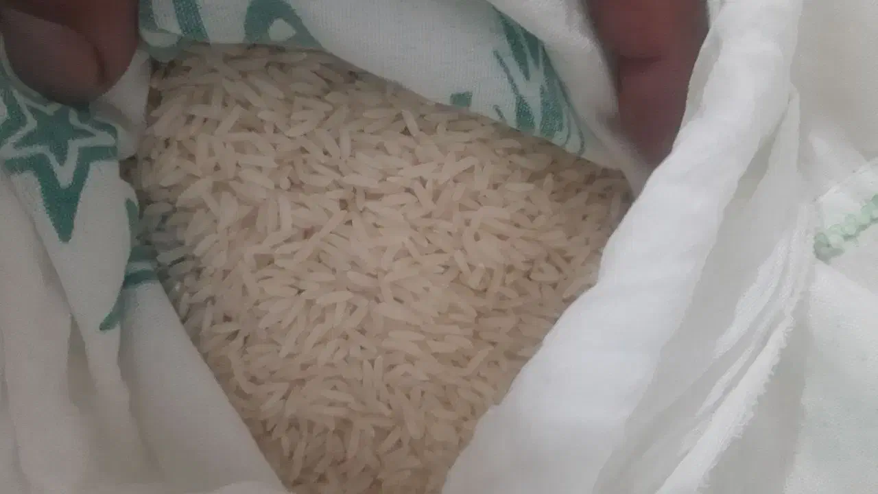 برنج نمونه درجه یک هاشمی|خوردنی و آشامیدنی|هشتگرد, شهرک راه آهن|دیوار