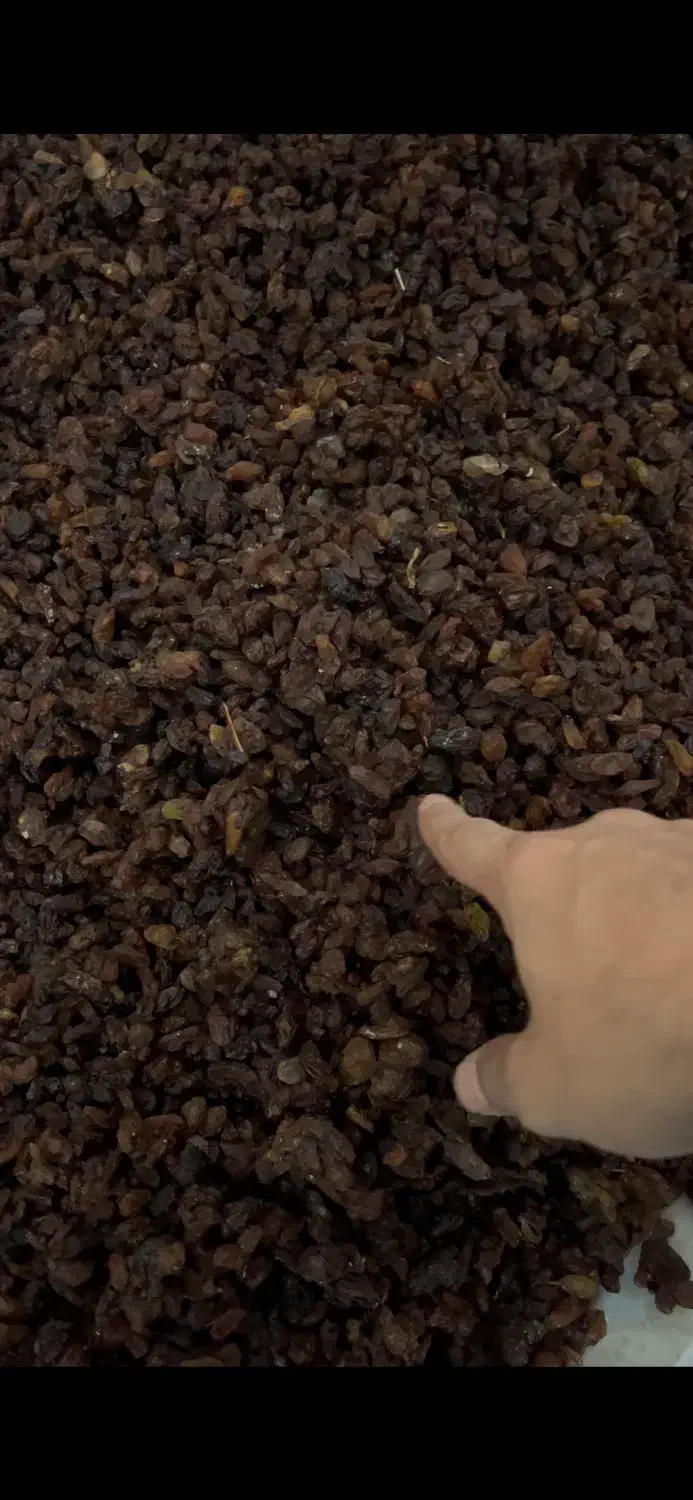 کشمش خراسان|خوردنی و آشامیدنی|نوشهر, |دیوار