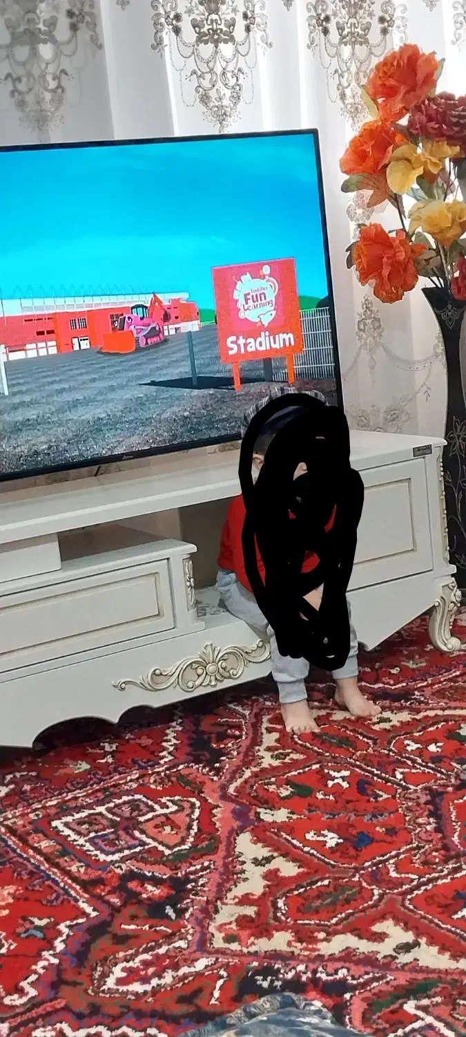 تلویزیون|تلویزیون و پروژکتور|صوفیان, |دیوار