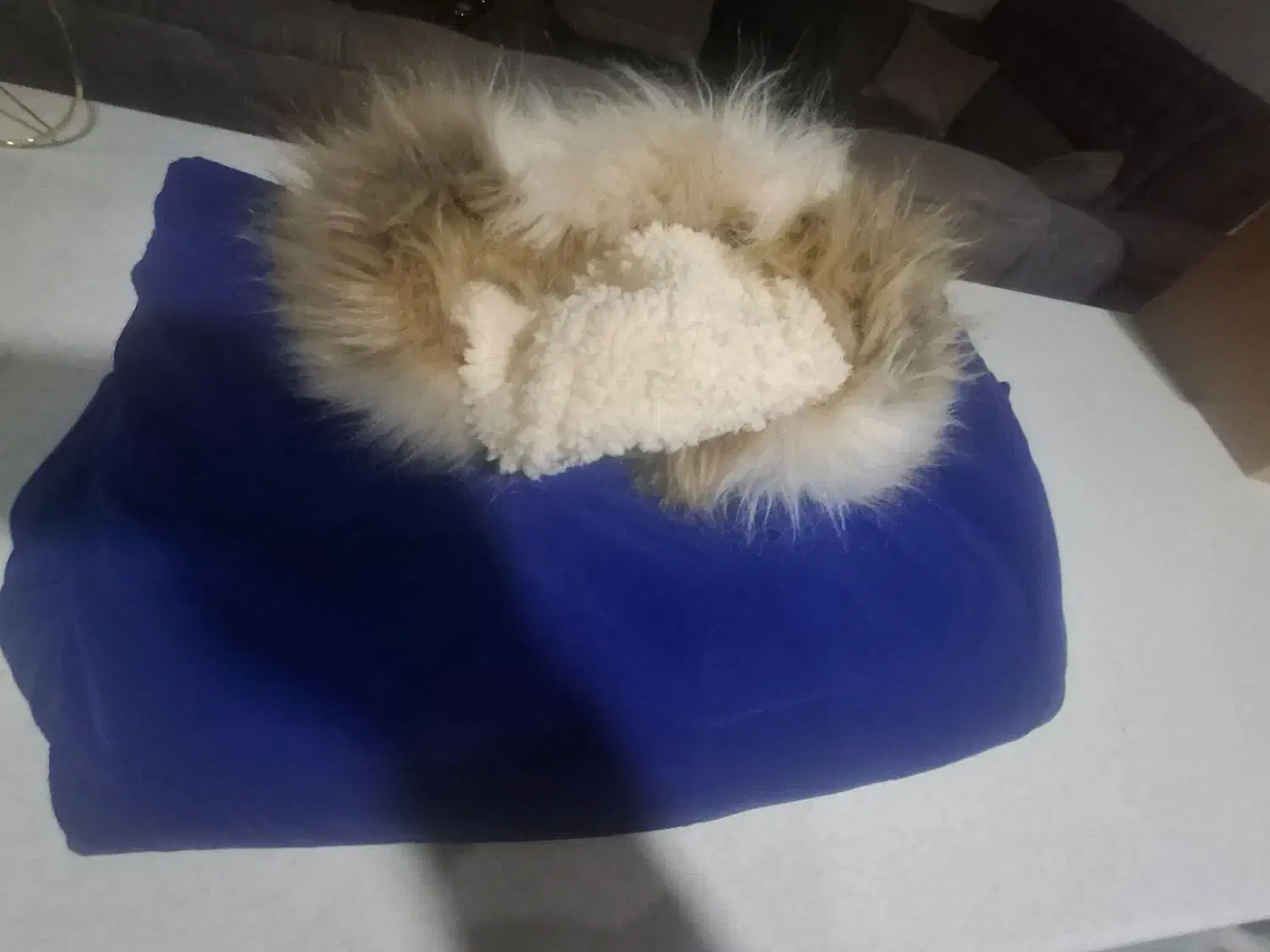 فروش تعدادی لباس نو.به علت جمع کردن .کیفهادرحدنو|لباس|گرمسار, |دیوار