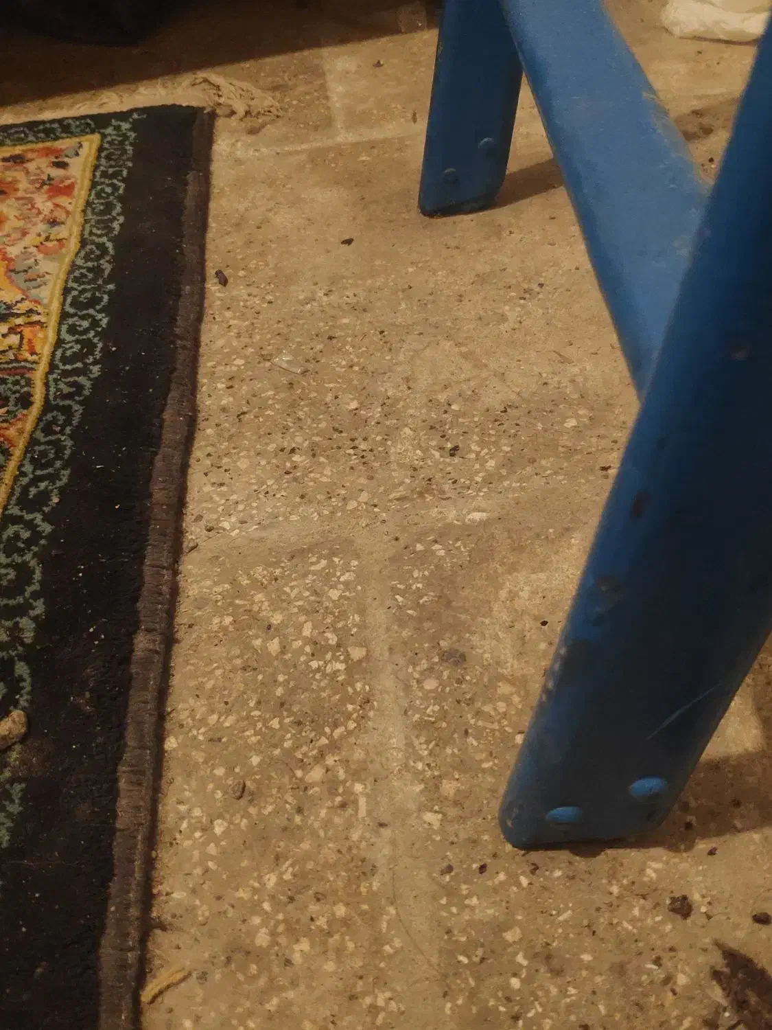 نردبان با کیفیت|تخت و سرویس خواب|گرگان, |دیوار