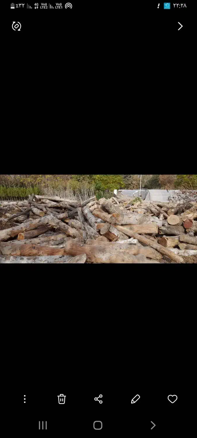 چوب ودرخت|خدمات باغبانی و درختکاری|مشهد, هفده شهریور|دیوار