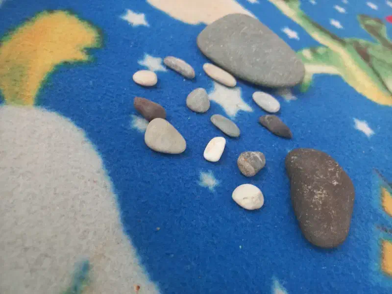 سنگ کف دریا|کلکسیون اشیاء عتیقه|کرمانشاه, |دیوار