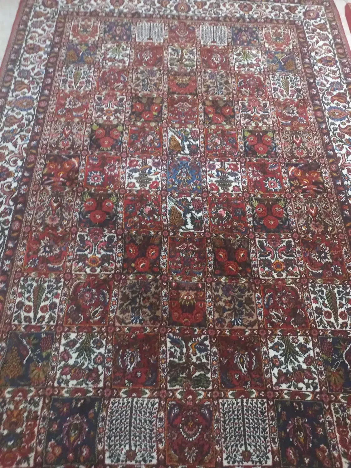 قالی دست باف|فرش|شهرکرد, |دیوار