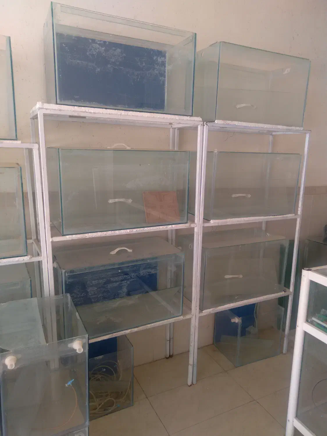 فوری۵۰۰ ت آکواریوم|ماهی|گلپایگان, |دیوار