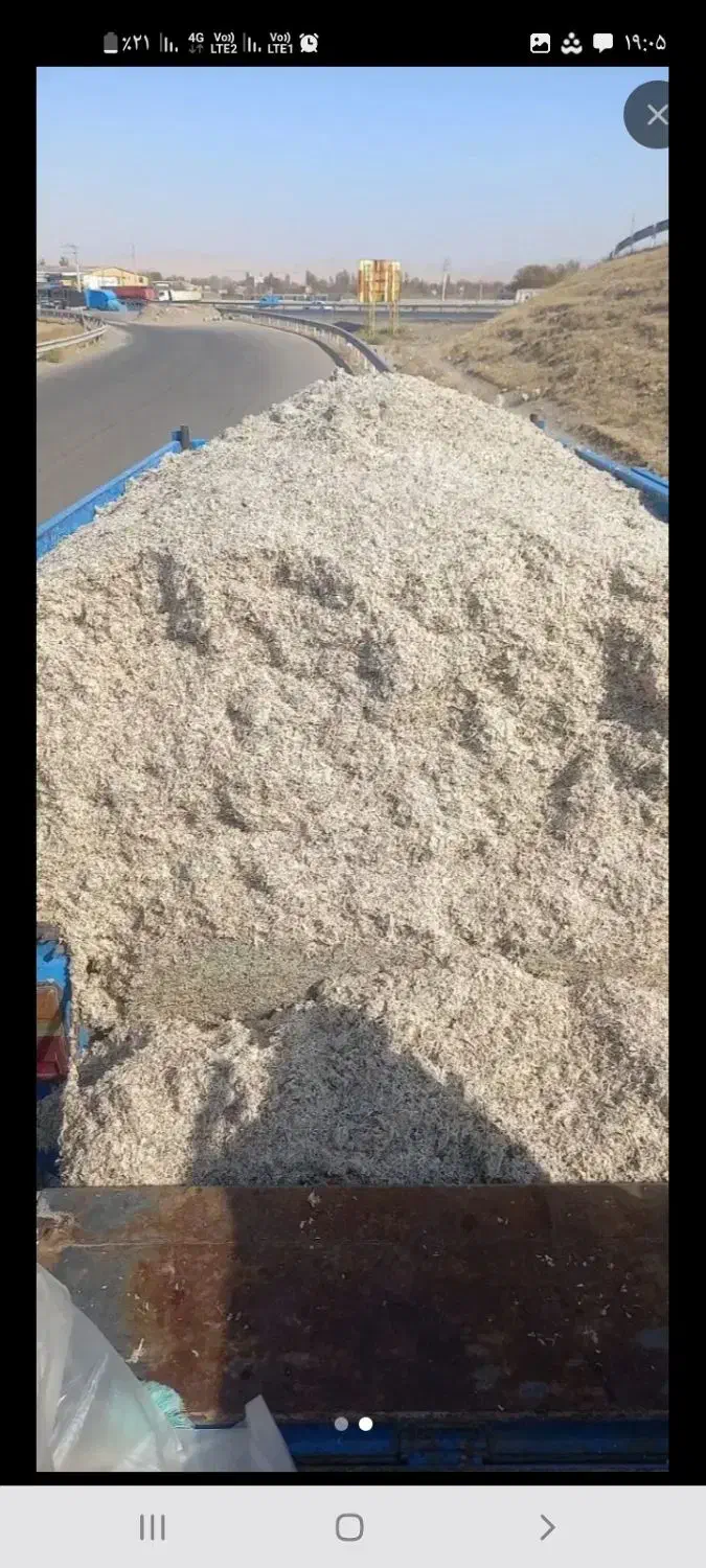 تفاله چغندر ملاس درجه ۱|حیوانات مزرعه|هشترود, |دیوار