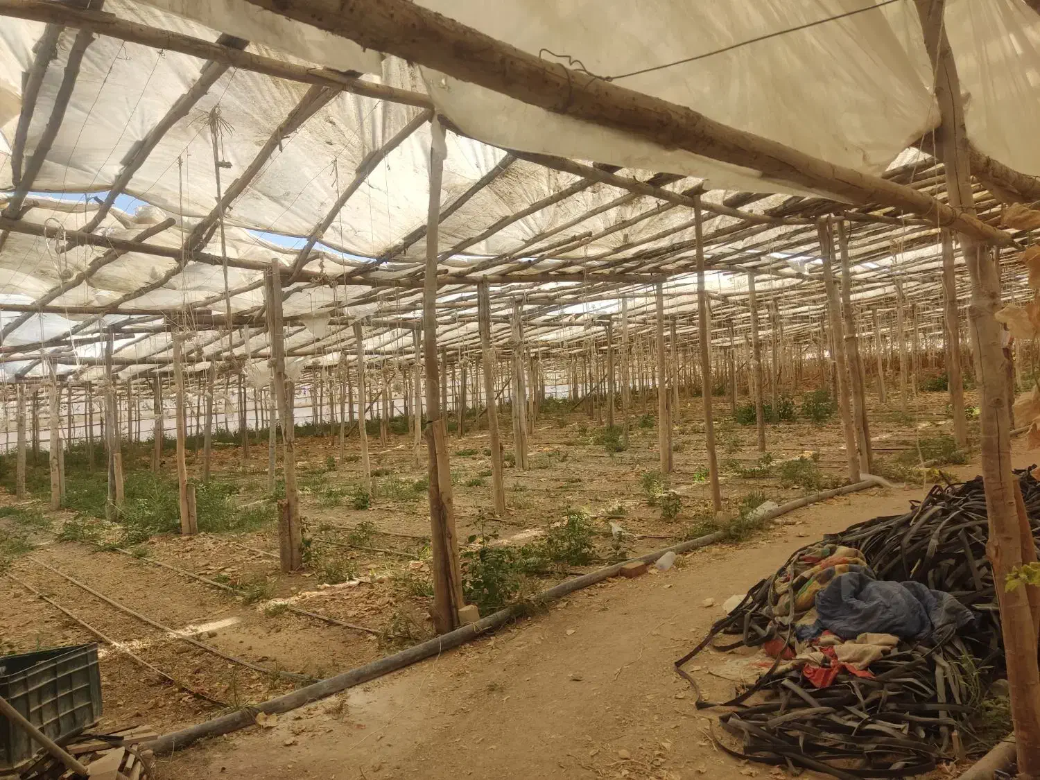 گلخانه چوبی|عمدهفروشی|زیباشهر, |دیوار