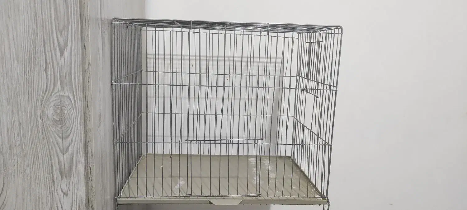 لوازم پرنده|لوازم جانبی حیوانات|اسلامشهر, شهرک قائمیه|دیوار