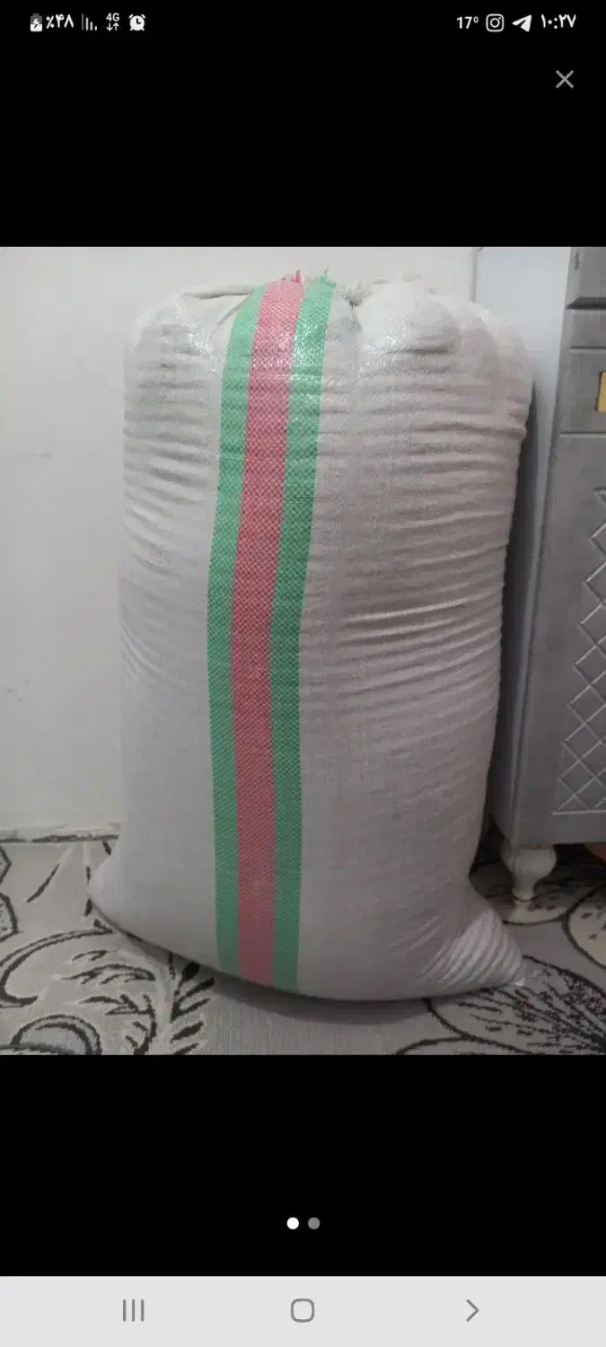 شالی فجر|خوردنی و آشامیدنی|دلند, |دیوار