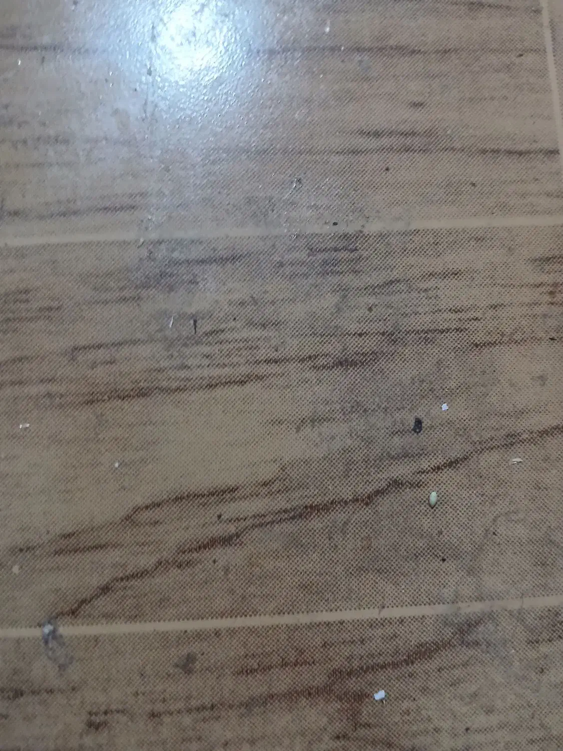 وانت پیکان مدل۸۶دوگانه کارخونه|خودرو سواری و وانت|کرمان, |دیوار