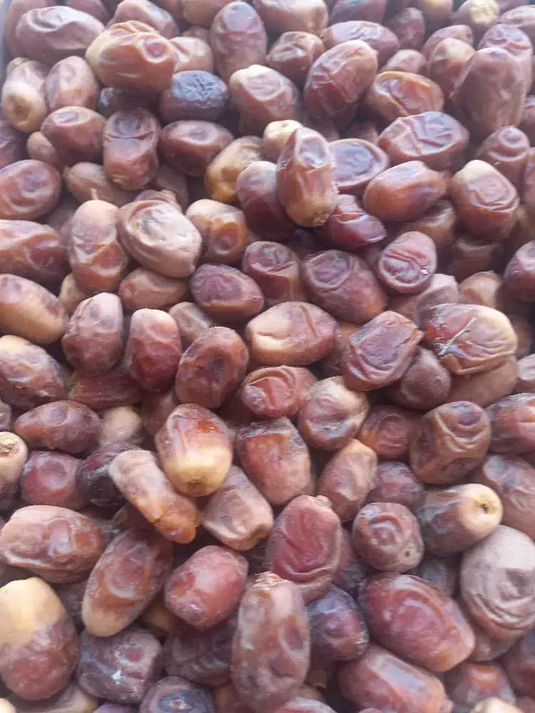 خرمای زاهدی|خوردنی و آشامیدنی|شیراز, خلدبرین|دیوار