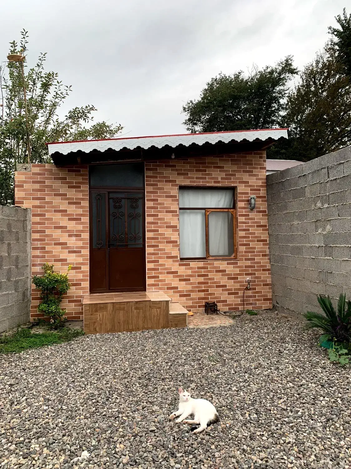 سوئیت یک خواب مسطقل تمیز روزانه ماهانه هفتگی|اجارهٔ کوتاه‌مدت ویلا و باغ|فومن, |دیوار