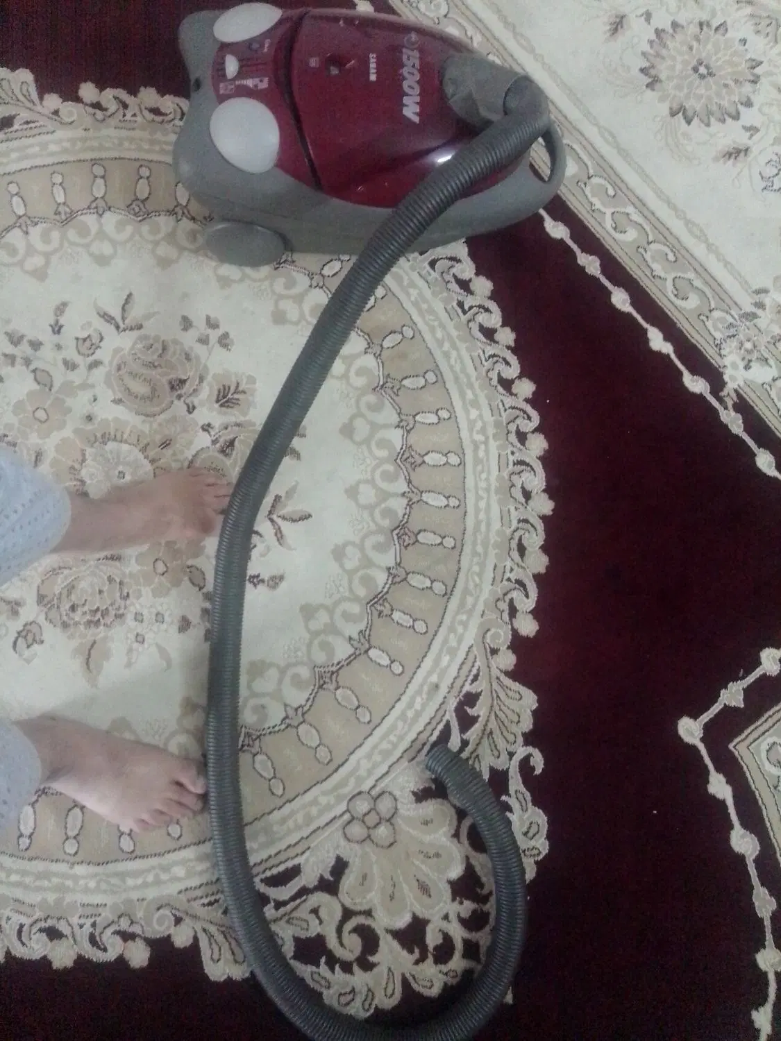 جاروبرقی|جاروبرقی، جارو شارژی، بخارشو|مشهد, کشف|دیوار