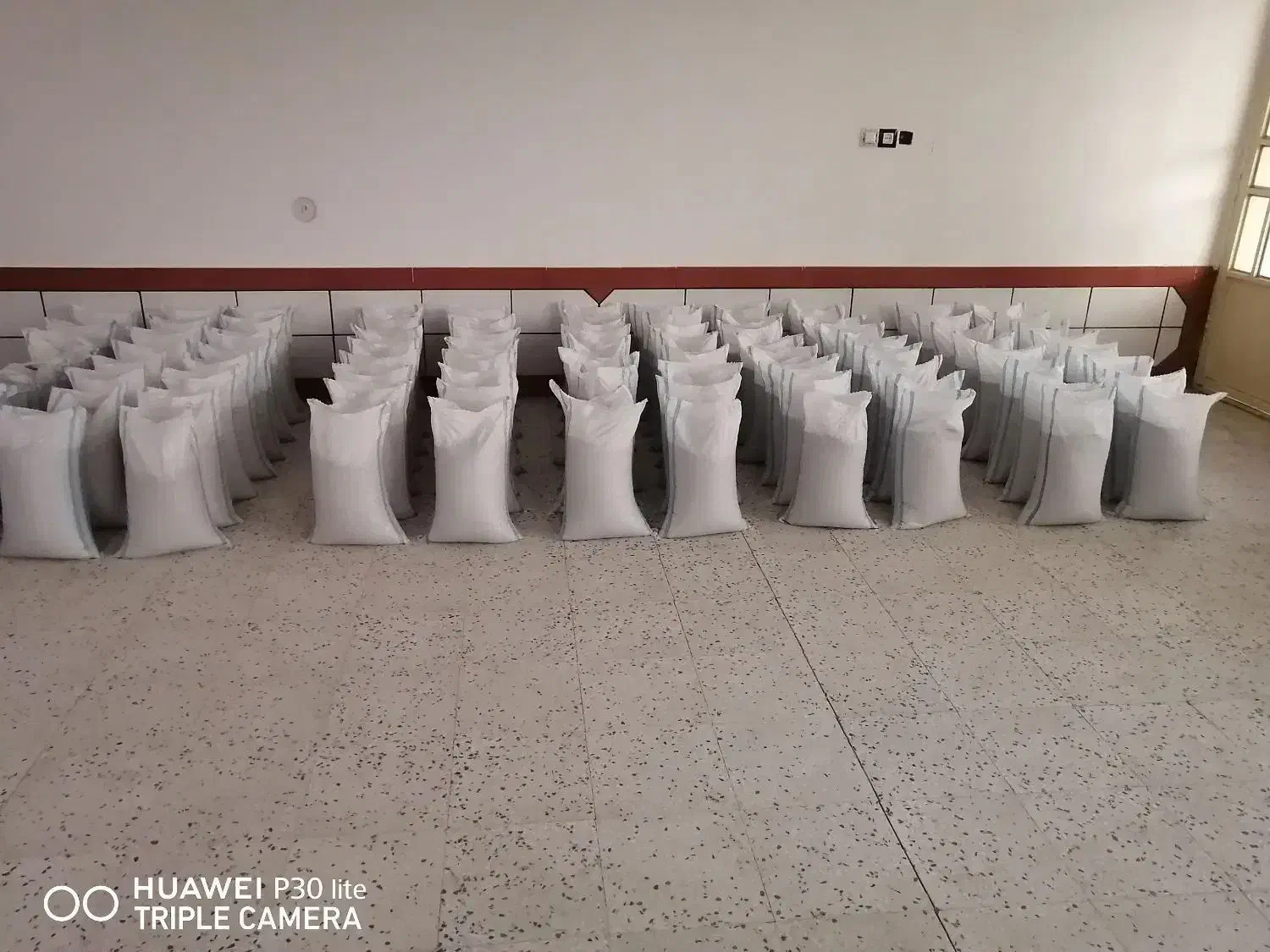 بذریونجه|خدمات باغبانی و درختکاری|کازرون, |دیوار