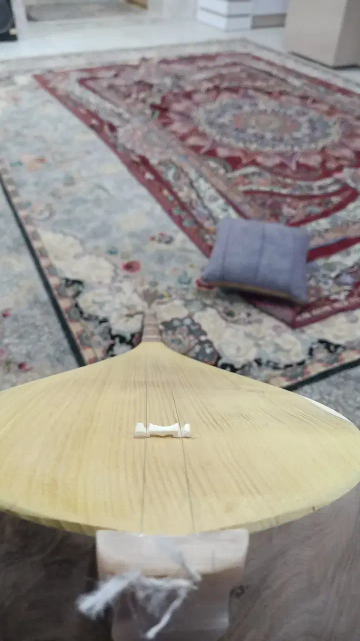 دوتار  استادی|سازهای سنتی|شادمهر, |دیوار