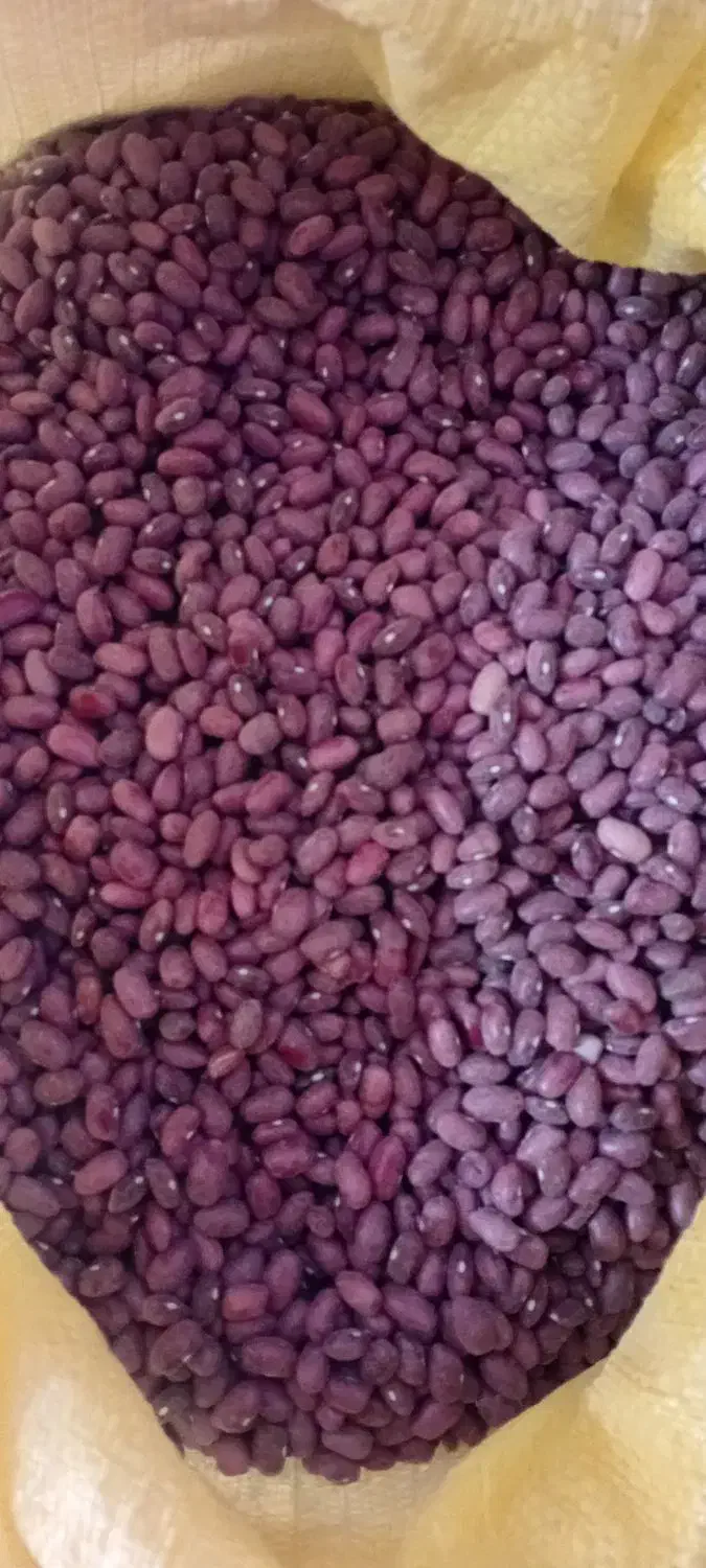 لوبیاقزمزدرجه|عمده‌فروشی|قیدار, |دیوار