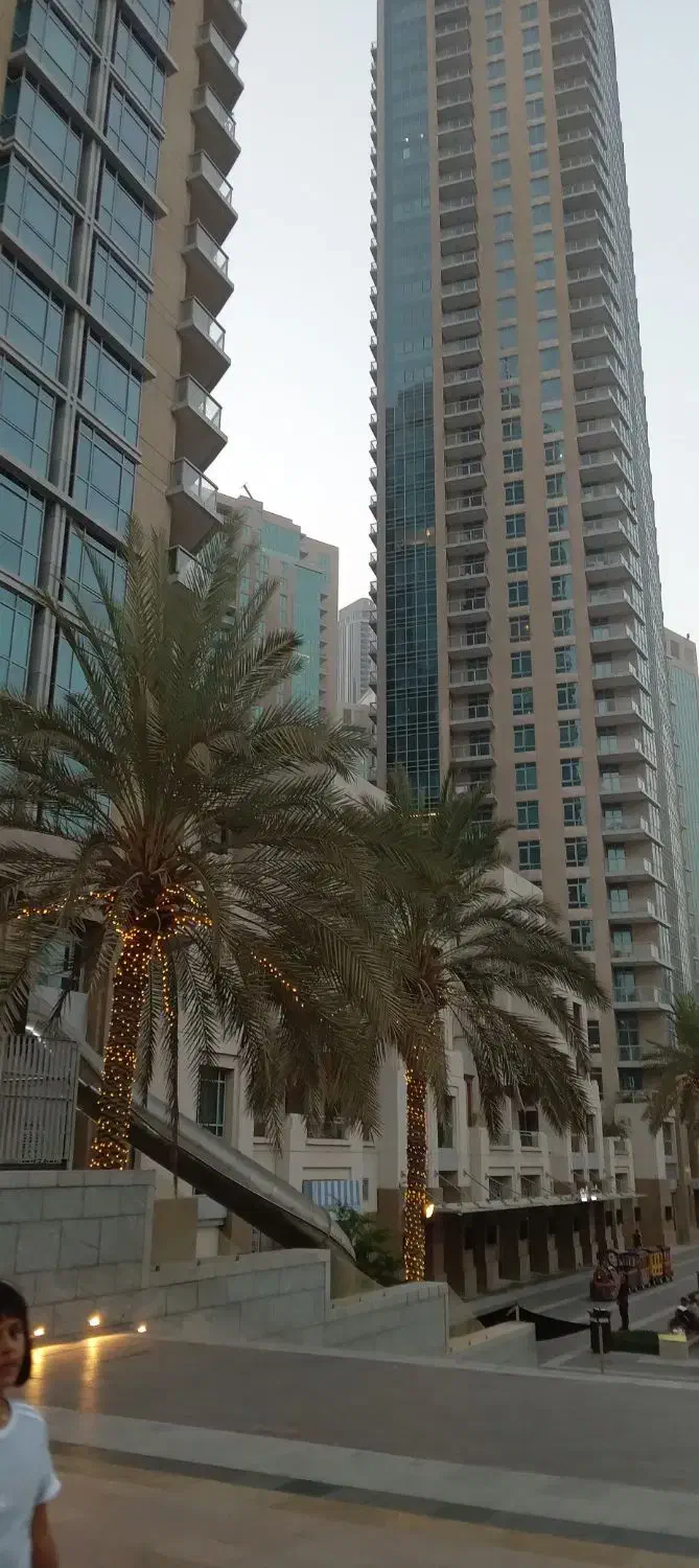 اقامت امارات در اسرع وقت|خدمات حمل و نقل|شیراز, باغ تخت|دیوار