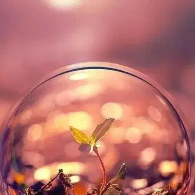 یه لنگه گوشواره گم شده|جواهرات|ایلام, |دیوار