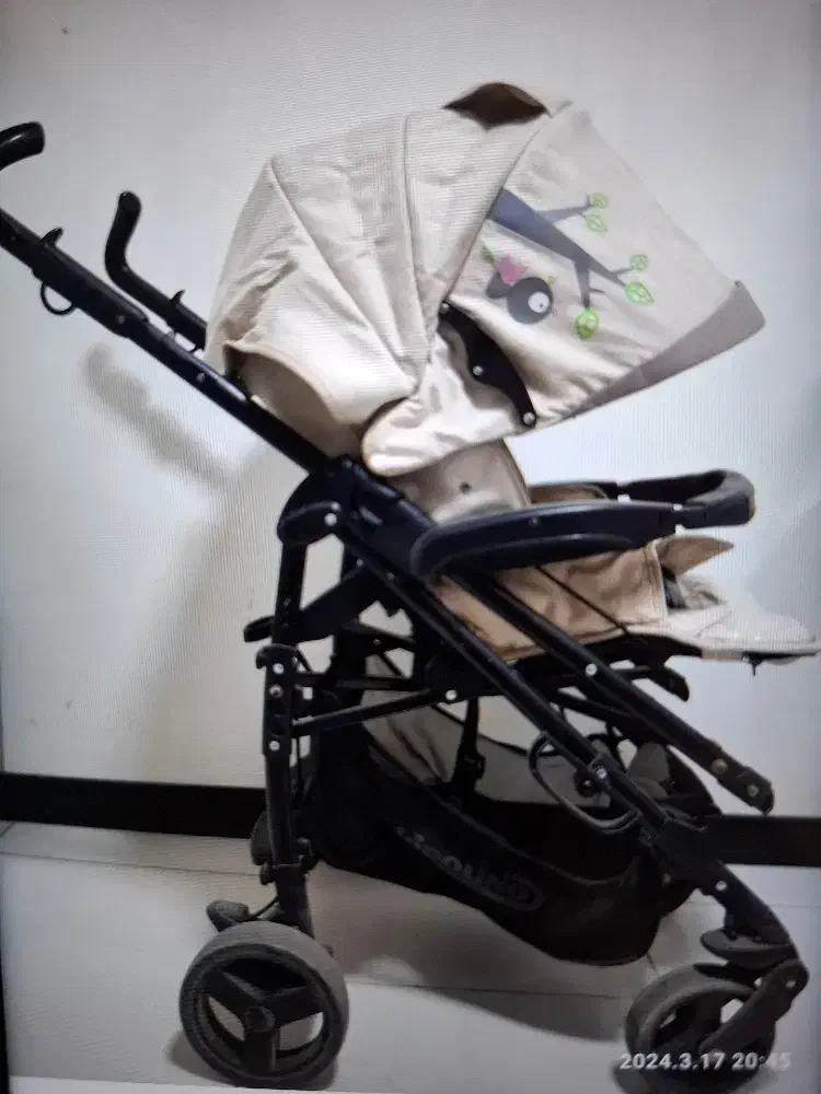 کالسکه بلغاری چیپولینو مدل پوکی|کالسکه و لوازم جانبی|فولادشهر, پارک کوهستان|دیوار